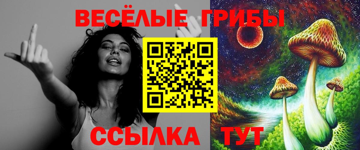 Галлюциногенные грибы Psilocybine cubensis Кунгур